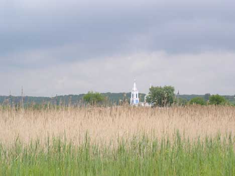Вид на церковь в Борисовке